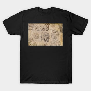 Vintage brain medical anatomy line drawing design. T-Shirt